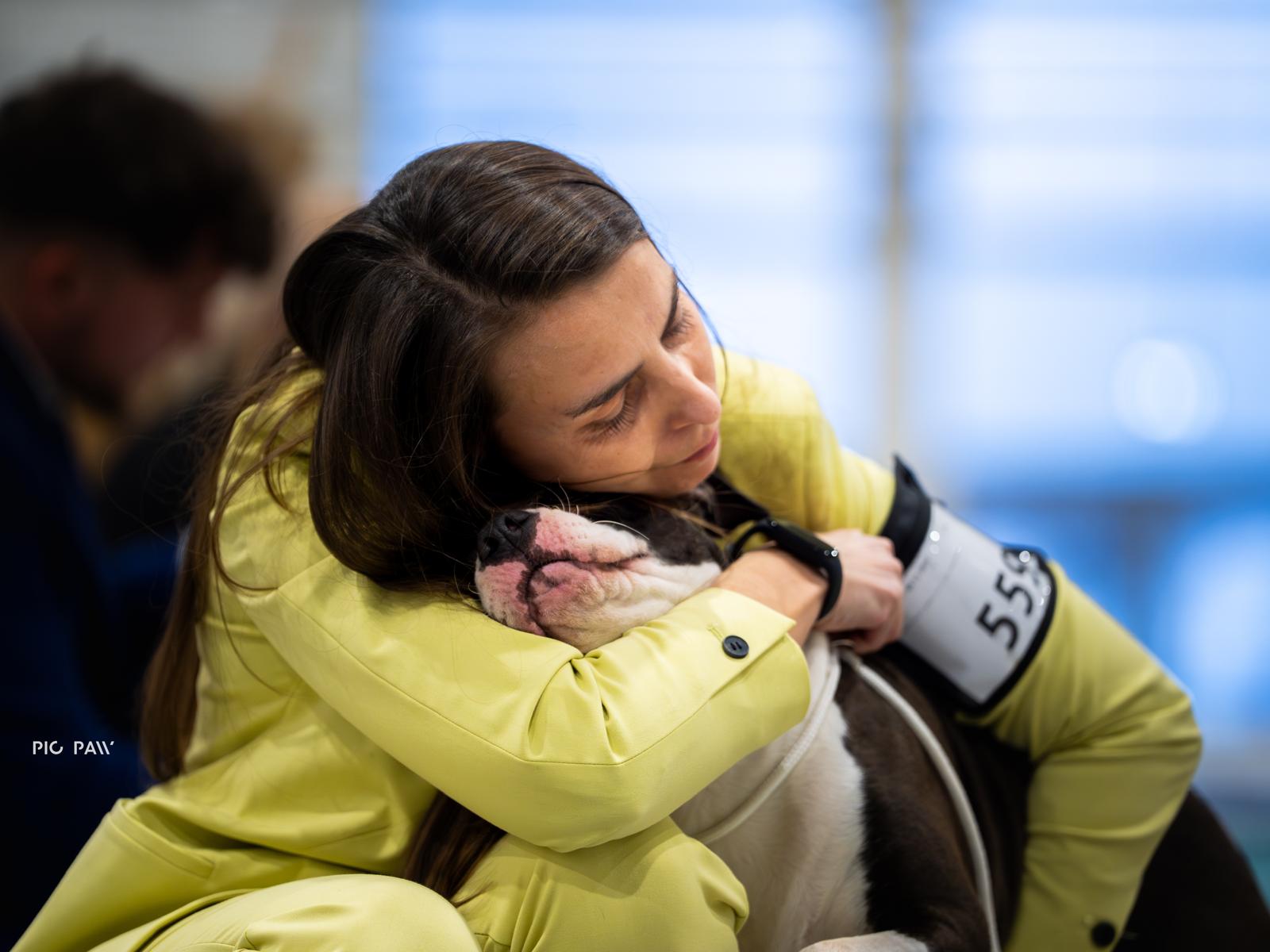 American Staffordshire Terrier